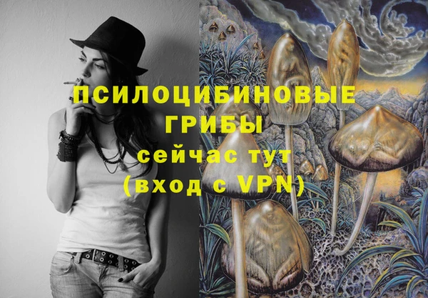 амф Зерноград
